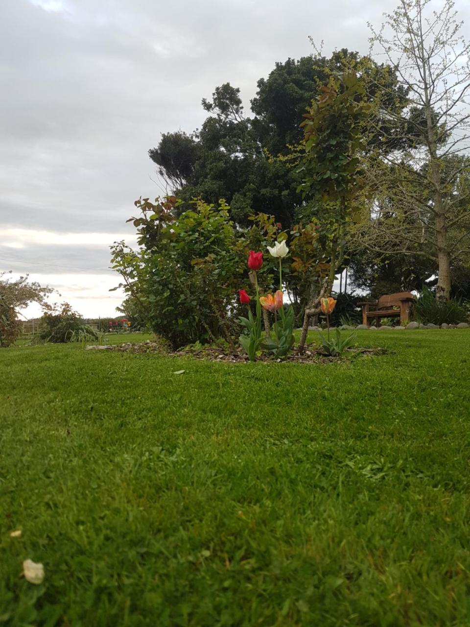 Lancewood Lodge Bulls Exterior foto
